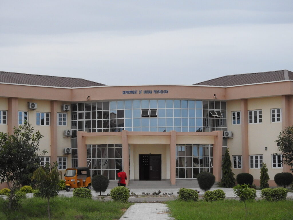 Yobe State University